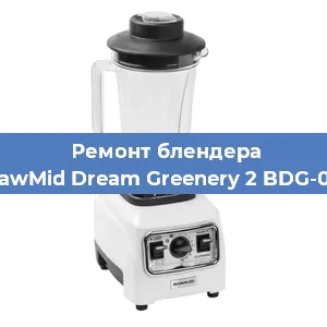 Замена втулки на блендере RawMid Dream Greenery 2 BDG-03 в Екатеринбурге